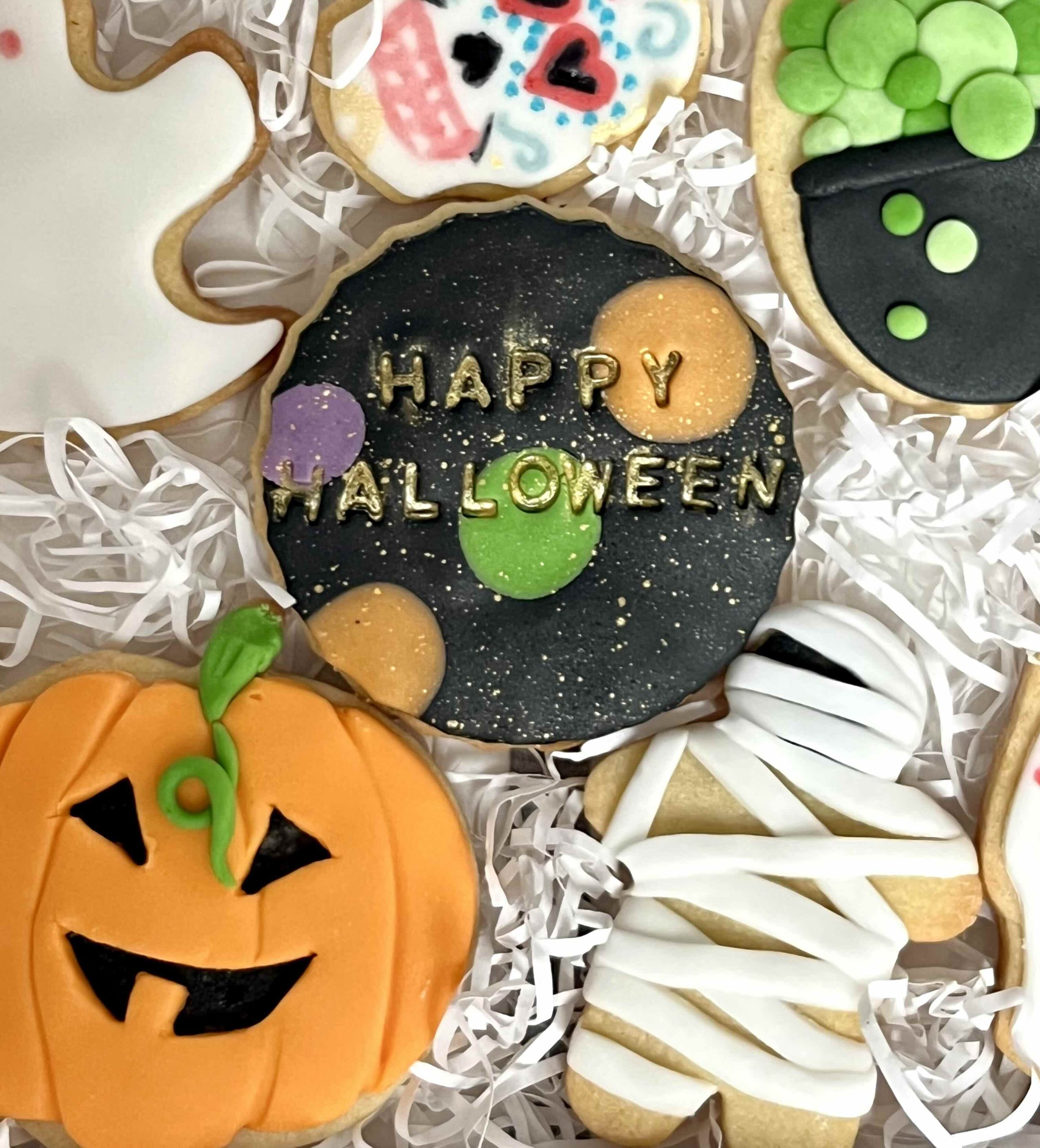 Halloween Iced Biscuit Set